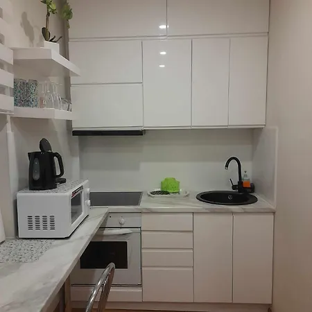 Apartamentai Druskininku Centre * Druskininkai