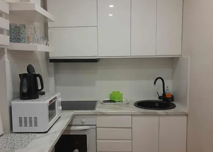 Apartamentai Druskininku Centre * Druskininkai