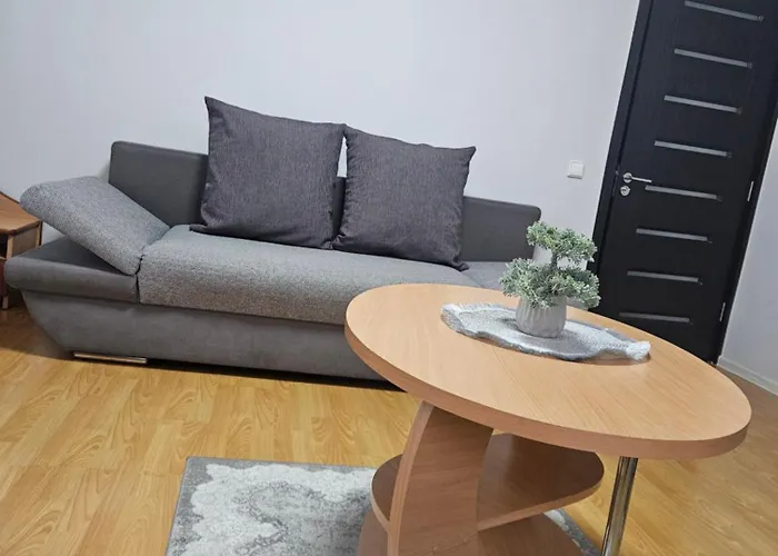 Daire Apartamentai Druskininku Centre